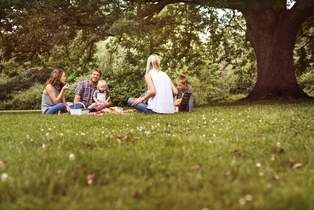 picnic