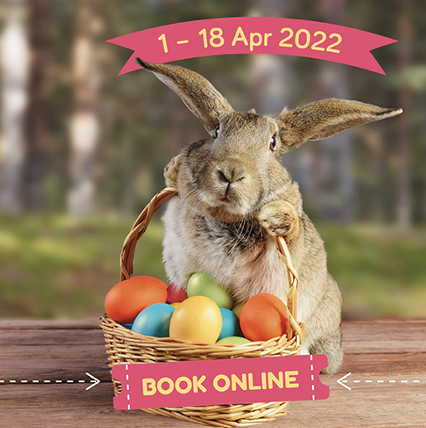 Hop to it! Godstone Farms launches its first ever Easter Grotto » Oxted  Local